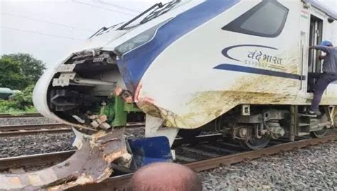 Vande Bharat Express Accident Victim Of Vande Bharat Accident Running