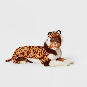 adorable pet halloween costumes   cats  dogs