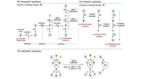 Origin & Evolution of Life Archives - Astrobiology