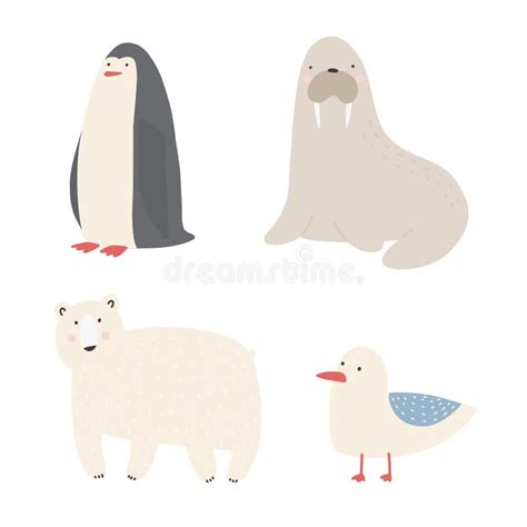 Polar Bear Walrus Penguin Friends Stock Illustrations 13 Polar Bear