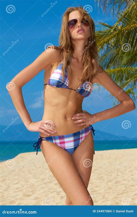 Sexy Frau Im Karierten Bikini Stockfoto Bild von formschön provozierend 24497084