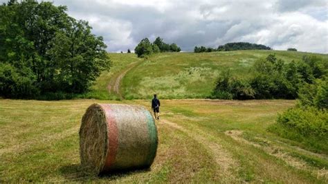 Modena Slow Due Passi Tra Natura E Storia A Marano Sul Panaro