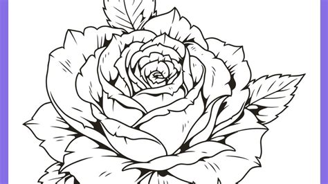 Foto De Rosas Para Desenhar - Desenho De Rosas Desenhos De Flores: 38 Ideias Para Imprimir E Colorir