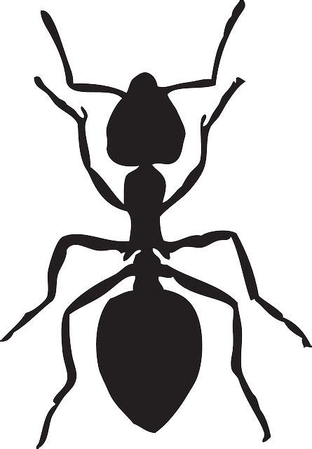 Ant Clipart Black And White | Free download on ClipArtMag