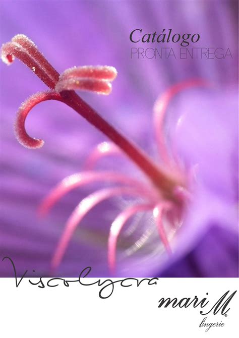 Mari M Lingerie Pe Visco Page Created With Publitas