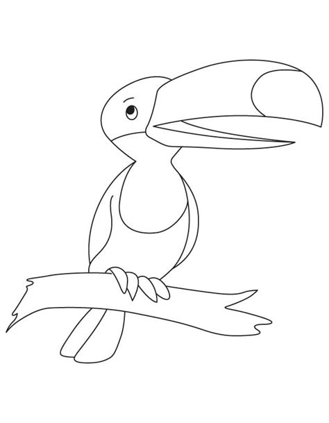 Toucan Coloring Pages Best Coloring Pages For Kids