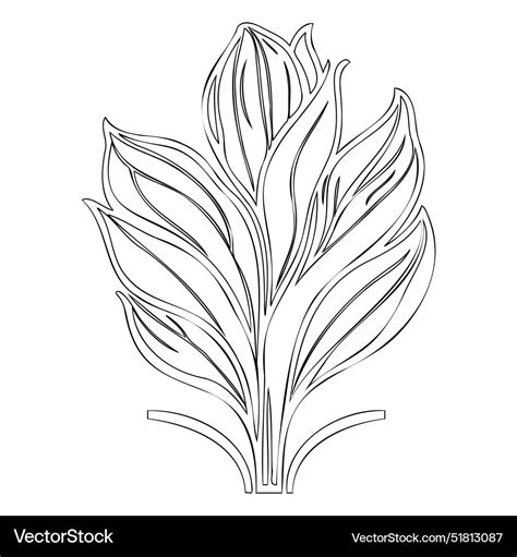 Tulip flower outline sketch Royalty Free Vector Image