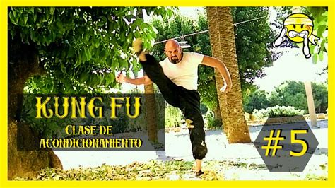 Cómo APRENDER KUNG FU EN CASA paso a paso para Principiantes CLASES