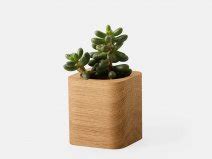 Oakywood Geometric Planter Walnut Bureau Vetplant Pot