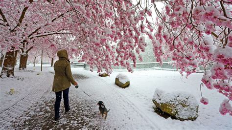 Winter Comeback In Baden W Rttemberg Hier Liegen Mehrere Zentimeter Schnee