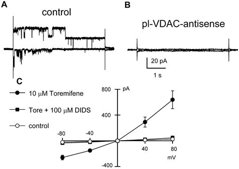 Plasma Membrane Voltage Dependent Anion Channel Mediates Antiestrogen