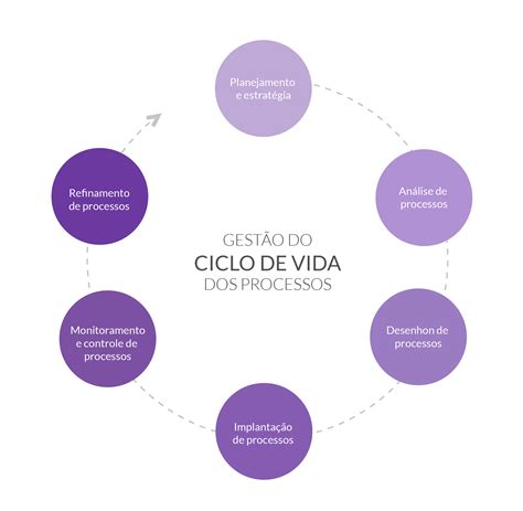 Ciclo De Vida Das Empresas Bruniv