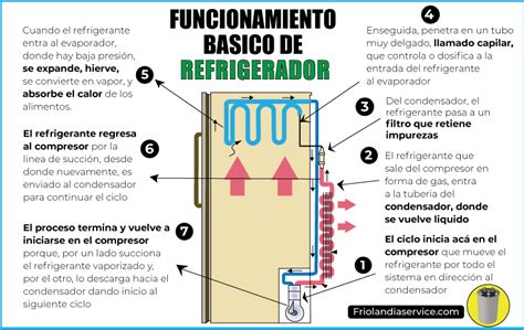 Cómo funciona una nevera Friolandia