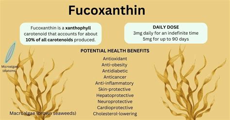 Fucoxanthin — Food Sources, Structure, Health Benefits, and Supplements