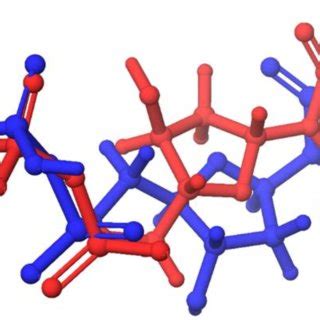 Validation Of The Molecular Docking Protocol Employed Using The Before