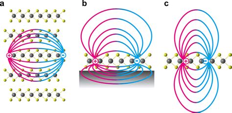 Schematic Illustration Of The Dielectric Screening Of Coulomb