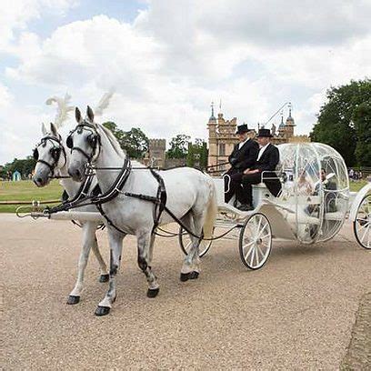 Cinderella Carriage Hire for Wedding | My Wedding Entrance