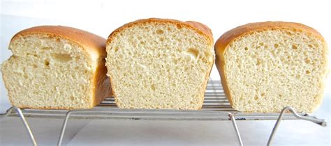 Fleischmann S Traditional Active Dry Yeast Bread Recipe - Infoupdate.org