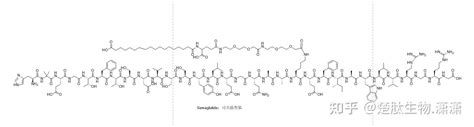 Biotin Semaglutide；biotin 司美格鲁肽 知乎