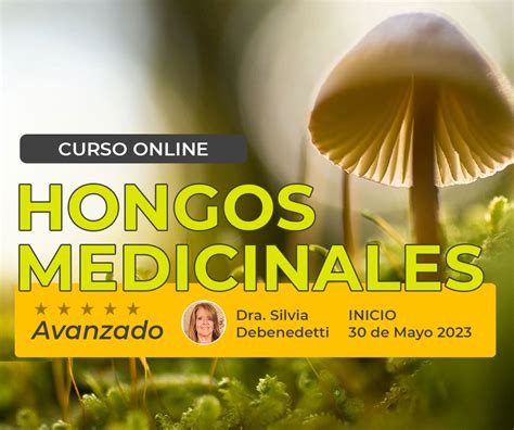 Curso Online Hongos Medicinales Avanzado AAMI Asociación Argentina