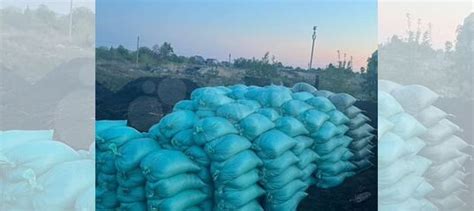 Перегной конский в мешках купить в Челябинске | Товары для дома и дачи ...