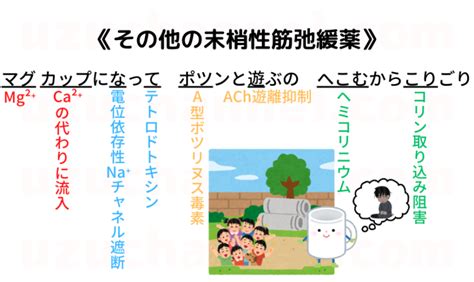 【ゴロ】その他の末梢性筋弛緩薬 ゴロナビ〜薬剤師国家試験に勝つ〜