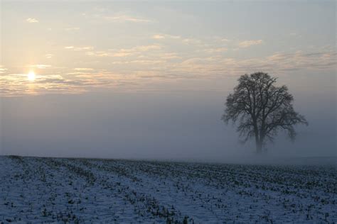 Images Gratuites Paysage Mer Arbre La Nature Horizon Neige Du