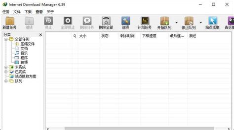 Internet Download Manager 6 41 20 IDM 哔哩哔哩