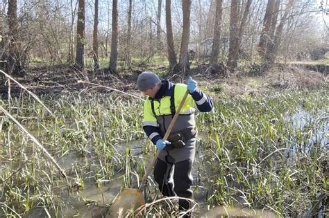 La Chd Inicia Los Muestreos Biol Gicos En Los R Os Para Analizar La