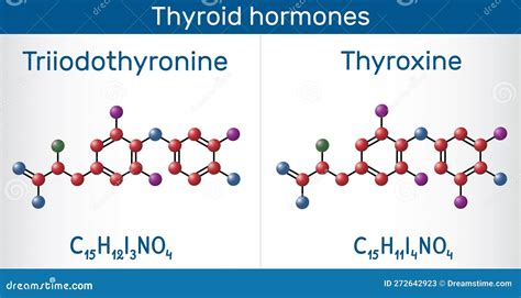 Thyroid Hormones Triiodothyronine T3 Levothyroxine And Thyroxine T4