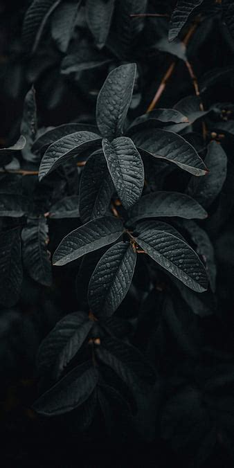 Dark Wallpaper Hd 4K: Hình Nền Đẹp Siêu Sắc Nét - Abettes-culinary.com