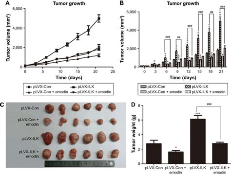 Emodin Repressed The Proliferation Of Tumor Cells In Vivo Notes A