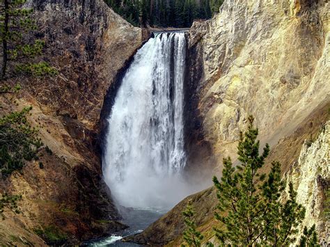 Yellowstones Lower Falls Photograph By David Choate Fine Art America