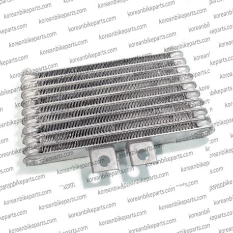 Genuine Radiator Oil Cooler Aluminum Silver Hyosung Gt Gt R Gv