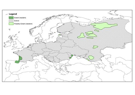 European mink – The Vincent Wildlife Trust