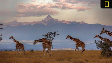 National Geographic Expeditions Announces 2024 Trips