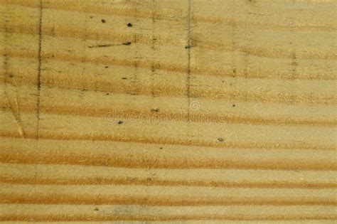 Wood Pine Texture. Grain, Cover. Stock Photo - Image of hardwood, grain: 144713410