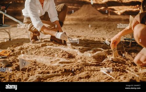 Archaeological Digging Site Two Great Paleontologists Cleaning Newly