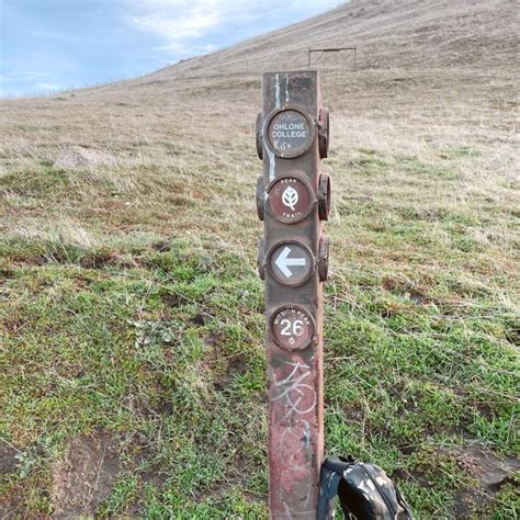 Hike Mission Peak Trail The Ultimate Guide From A Local Carrie