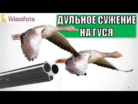 Дульное сужение для охоты на гуся! Videoohota - YouTube