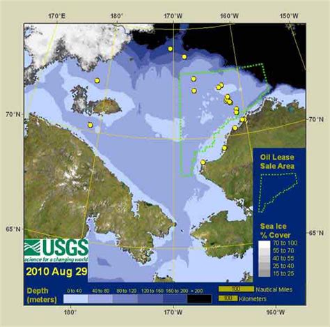 Mass Walrus Migration in Alaska, from Melting Ice to Dry Land - Inside Climate News