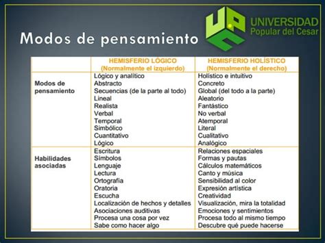 Modelo De Los Hemisferios Cerebrales Ppt