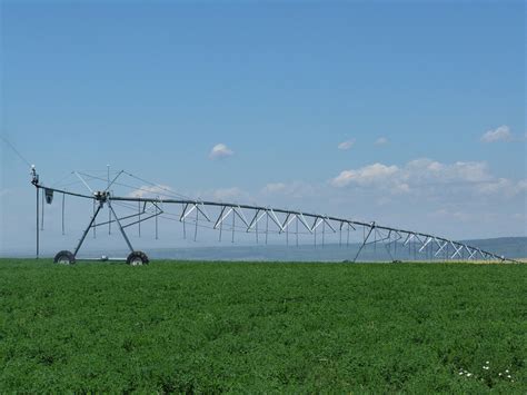 Delta Irrigation Ltd. — Irrigation Pivots