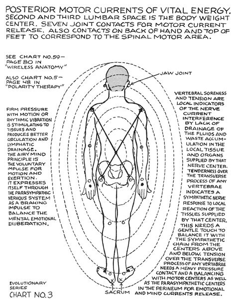 Polarity Therapy Volume Book Chart