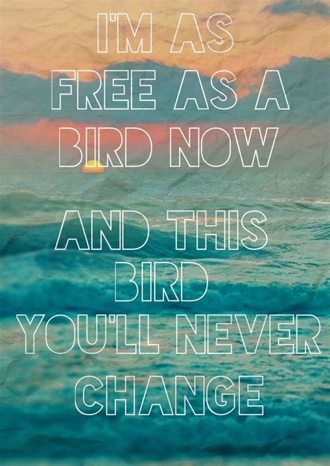 Free as a bird | Bird, Free, Freebird