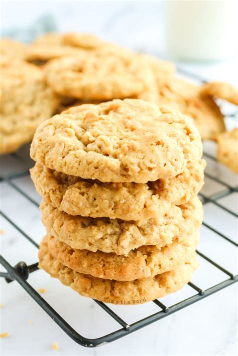 Chewy Oatmeal Cookies - Num's the Word