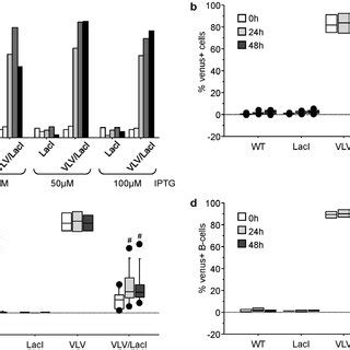 Transgene silencing and re-expression of transgene expression in vitro ...