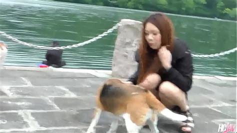 Good Asian Pussy Videos Xvideos