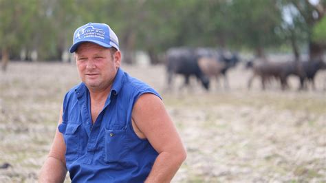 Nt Buffalo Industry Growing With Big Demand In South East Asia Nt News