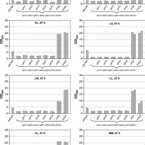 Growth Of The Wild Type Strain Sc5314 Opt1 ⌬ Opt2 ⌬ Opt3 ⌬ Opt4 ⌬ Opt5 ⌬ Download Scientific